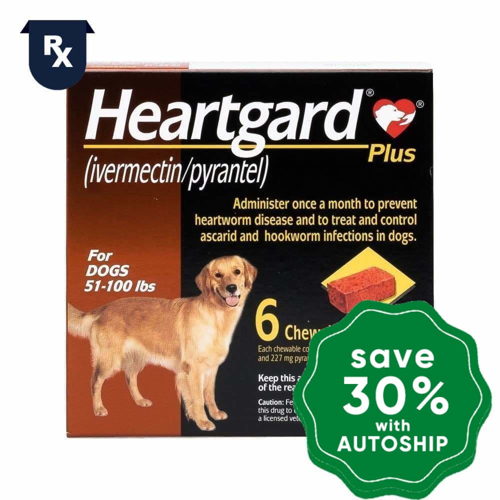 Heartgard - Plus Chewable Tablets For Dogs 51-100 Lbs 6 Tabs