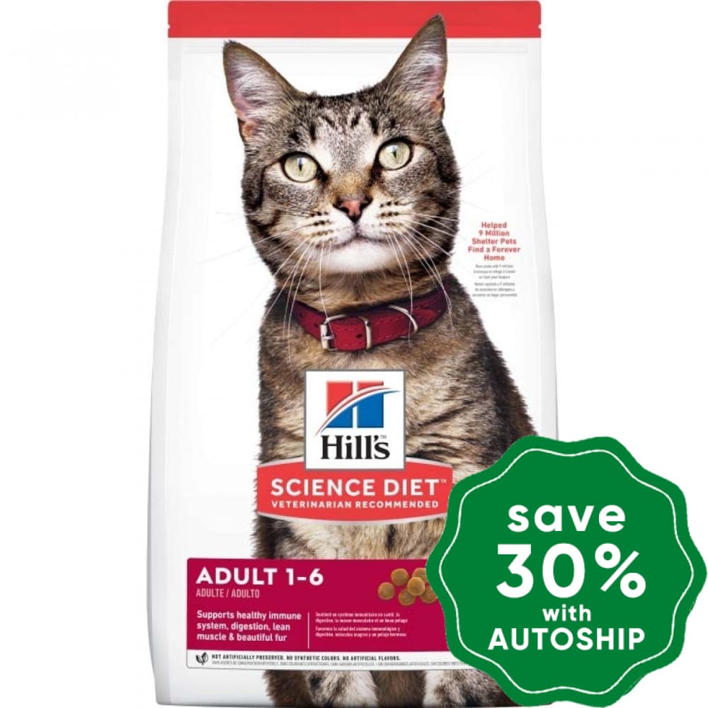 Hill's Science Diet - Dry Cat Food - Adult - 10KG - PetProject.HK