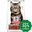 Hill's Science Diet - Dry Cat Food - Adult 7+ Hairball Control - 7LBs - PetProject.HK