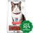 Hill's Science Diet - Dry Cat Food - Adult Hairball Control - 3.5LBs - PetProject.HK
