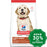 Hill's Science Diet - Dry Dog Food - Puppy Large Breed - 4KG - PetProject.HK