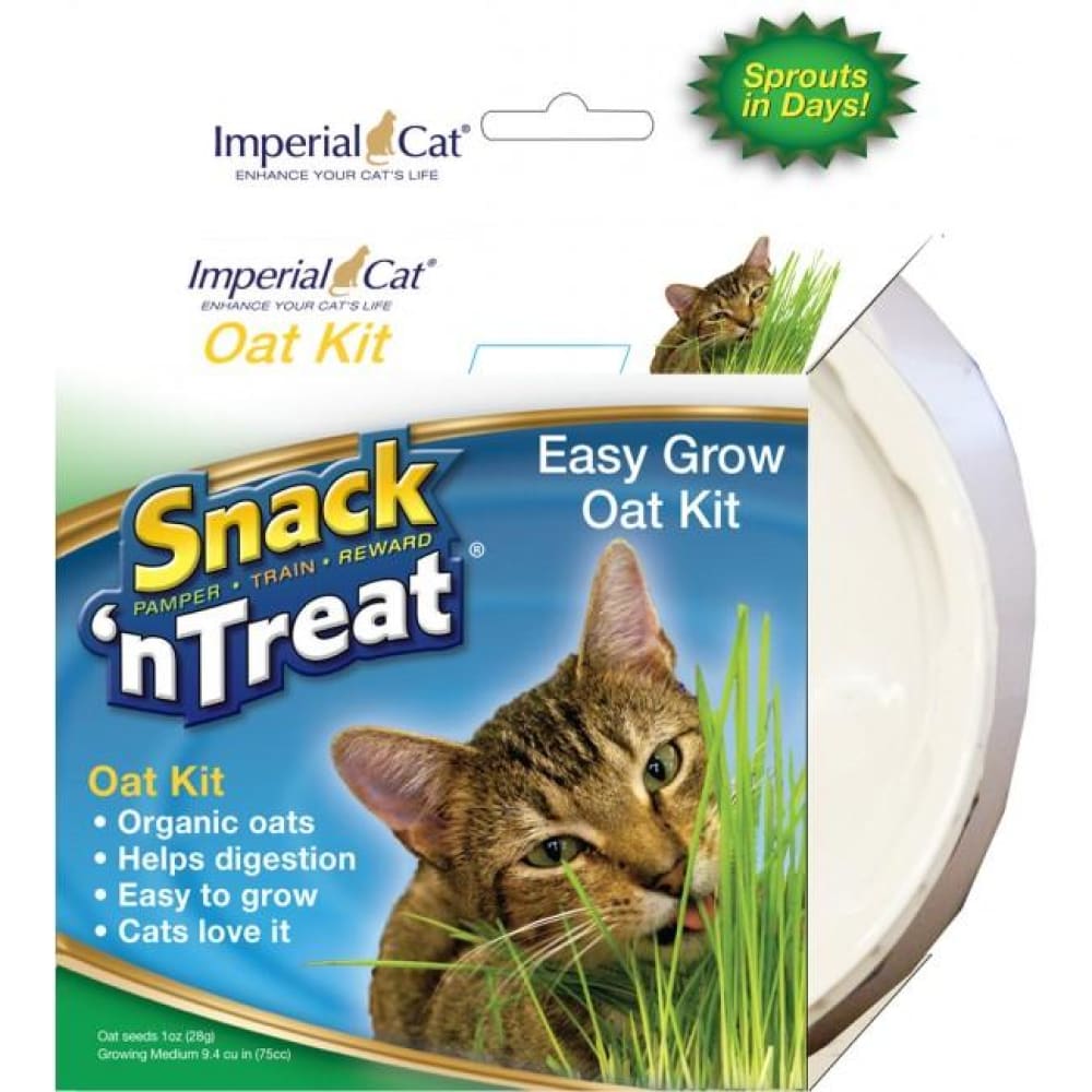 Imperial Cat - Snack 'n Treat - Easy Grow Oat Kit - 1OZ - PetProject.HK