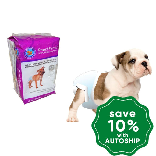 PoochPad - PoochPants Disposable Absorbent Diapers for Female - 12Pack - PetProject.HK
