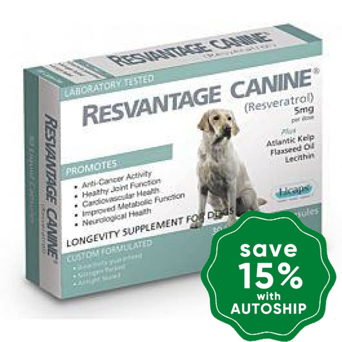 Resvantage - Canine Longevity Supplement For Dogs (30 Capsules) - PetProject.HK