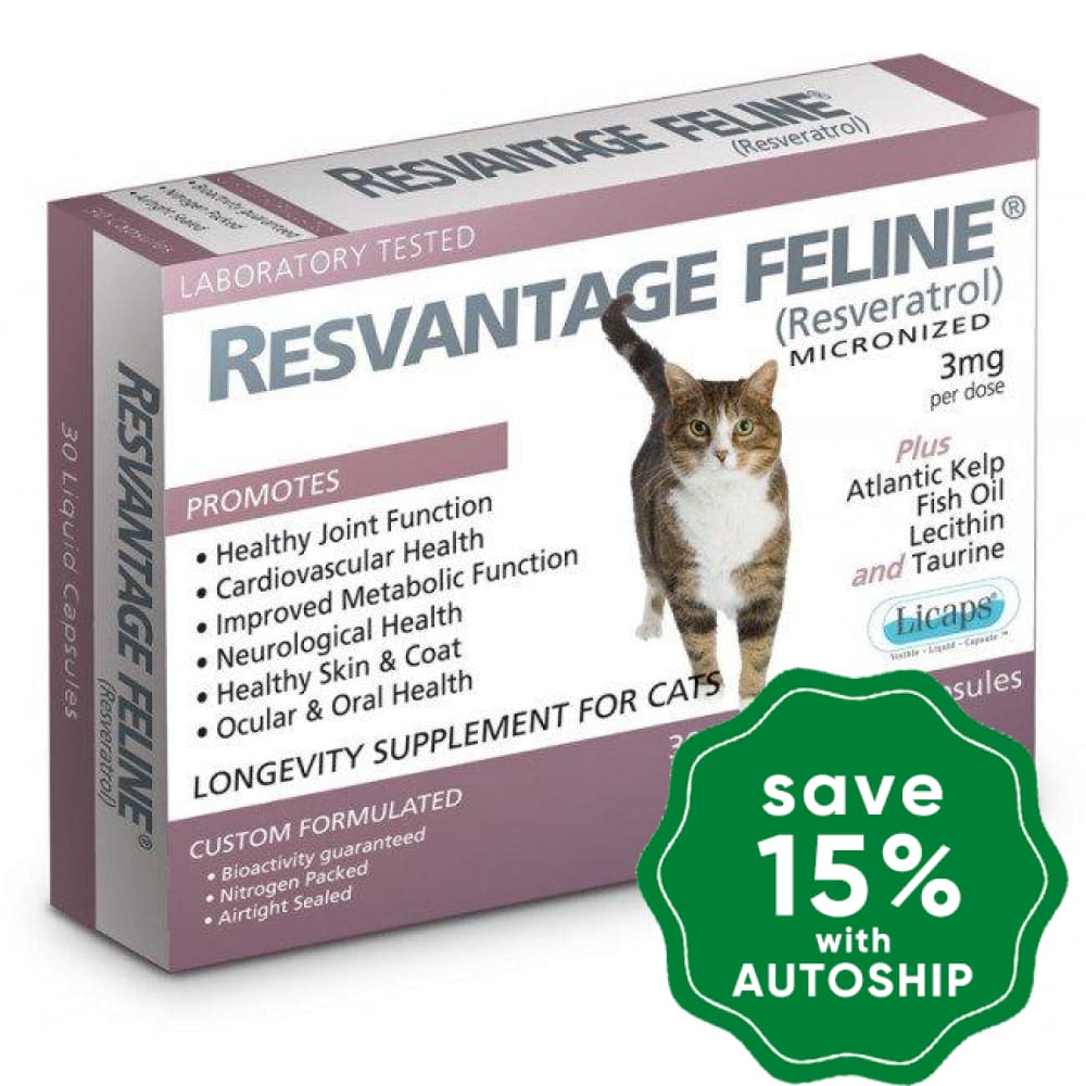 Resvantage Feline Longevity Supplement for Cats (30 Capsules) - PetProject.HK