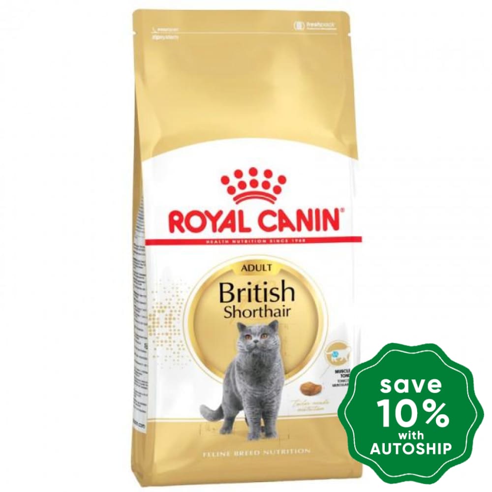 Royal Canin - Adult Cat Food - British Shorthair - 10KG - PetProject.HK