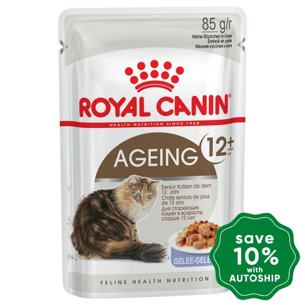 Royal Canin - Adult Cat Wet Food - Ageing +12 in Jelly in Pouch - 85G (Box of 12) - PetProject.HK