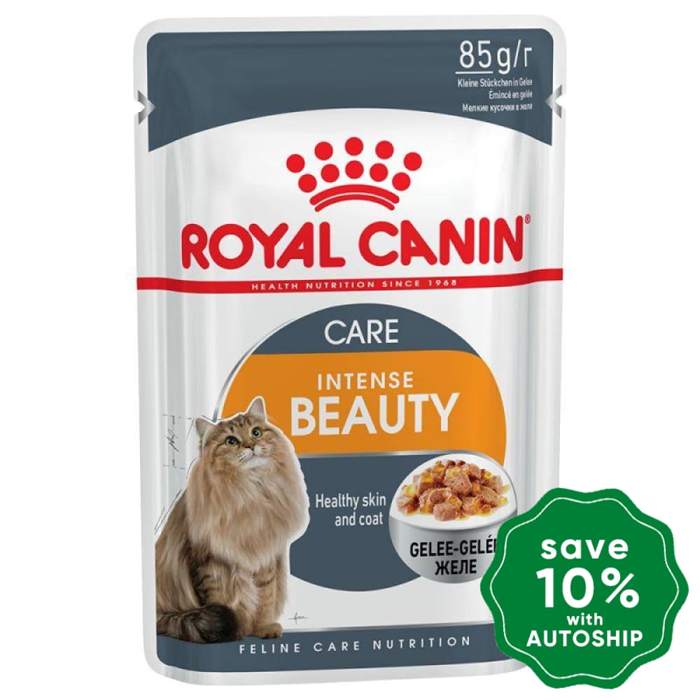 Royal Canin - Adult Cat Wet Food - Intense Beauty in Jelly Pouch - 85G (Box of 12) - PetProject.HK