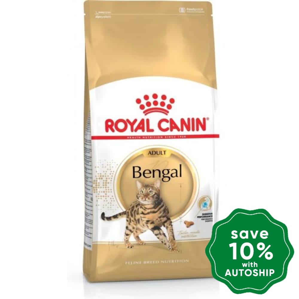 Royal Canin - Cat Food Bengal - 10KG - PetProject.HK