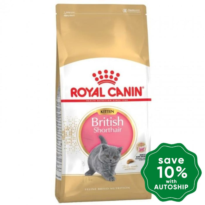 Royal Canin - Cat Food British Shorthair Kitten - 10KG - PetProject.HK