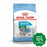 Royal Canin - Dog Dry Food Mini Starter Mother & Baby 3Kg Dogs