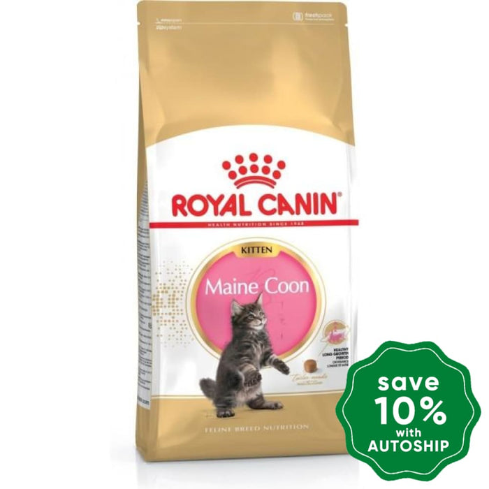 Royal Canin - Maine Coon Kitten Cat Food - 10KG - PetProject.HK