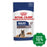 Royal Canin - Maxi Dog Wet Food Ageing 8+ 140G (Min. 10 Pouches) Dogs