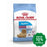 Royal Canin - Mini Indoor Dog Food Puppy 3Kg Dogs