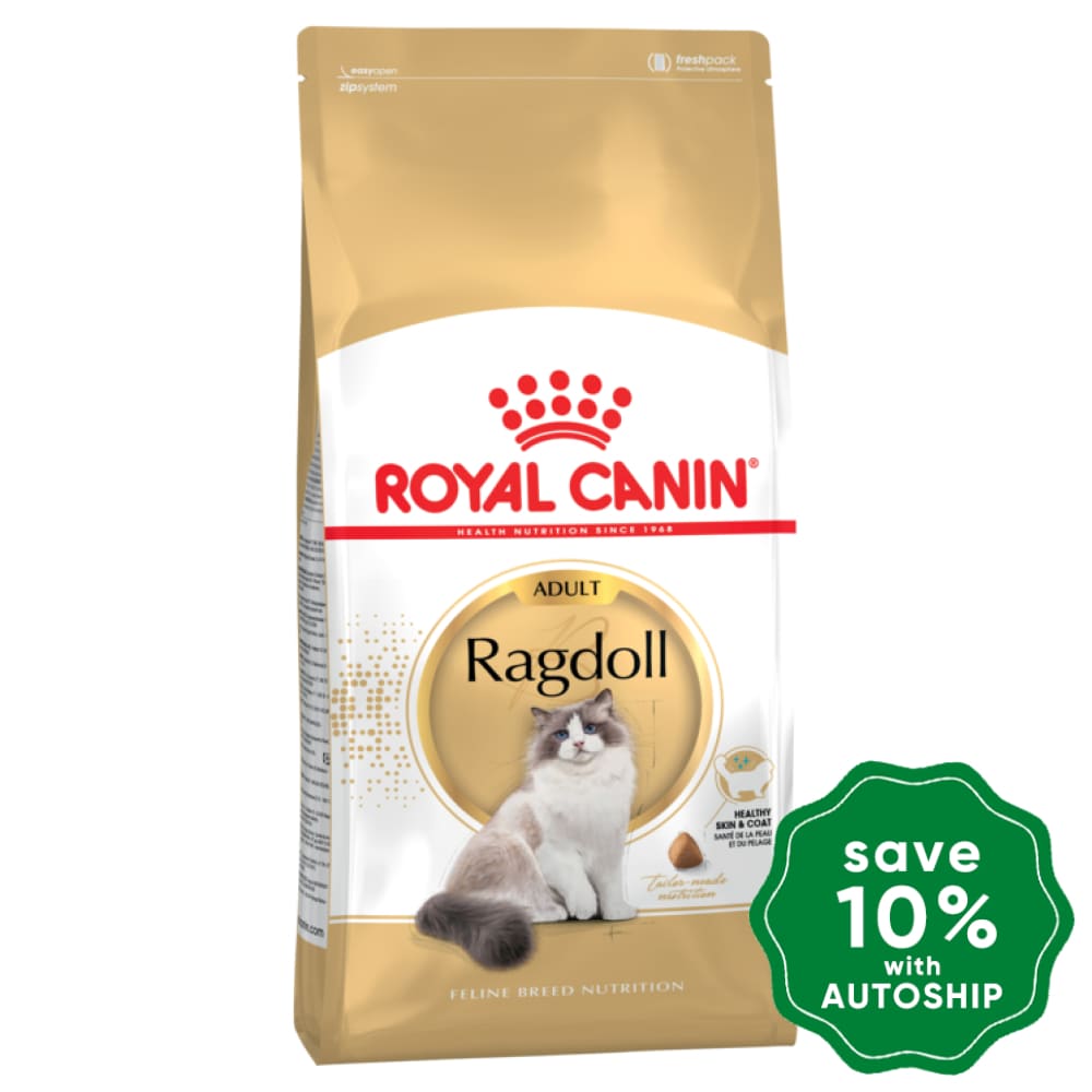 Royal Canin - Ragdoll Adult Cat Food - 2KG - PetProject.HK