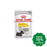 Royal Canin - Wet Food Dermacomfort 85G (Min. 12 Pouches) Dogs