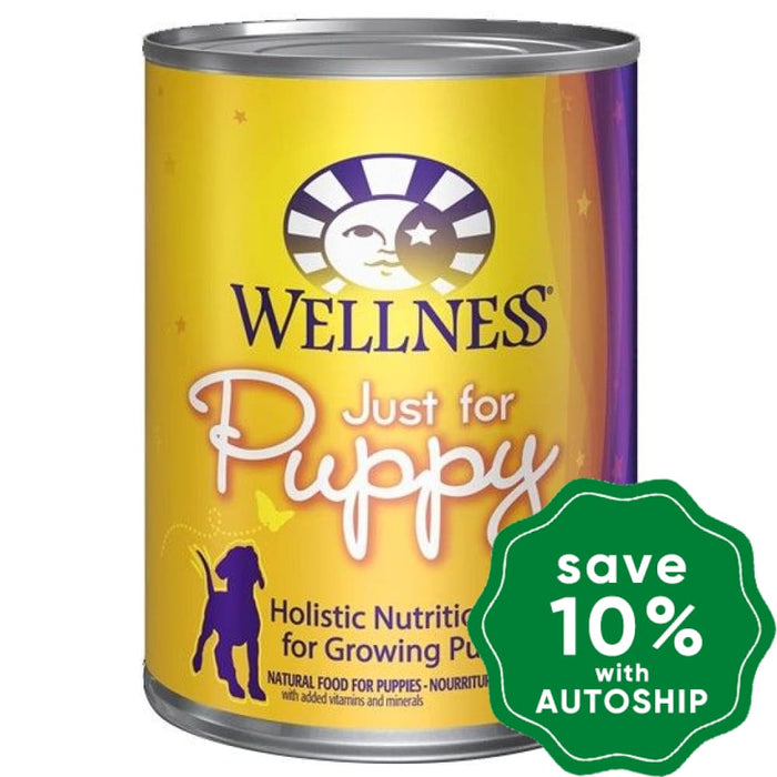 Wellness - Complete Health Puppies Wet Dog Food Beef With Carrots 12.5Oz (Min. 12 Cans) Dogs
